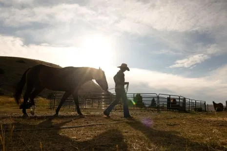 Get to Know the US Women Ranchers Transforming Contemporary Ranch Life