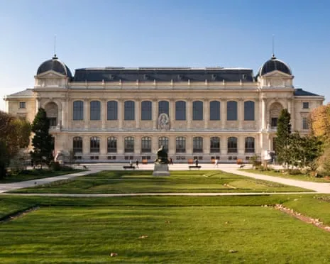 Invaluable Gold Pieces Taken in Daring Robbery at France's National Museum